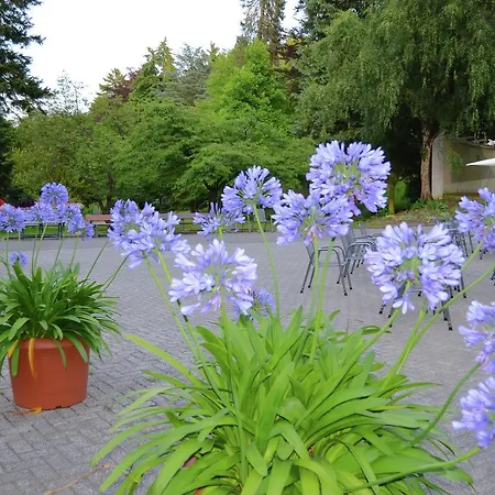 Apartment Bad Wildungen
