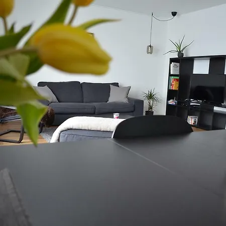 דירה Apartment Pfungstadt